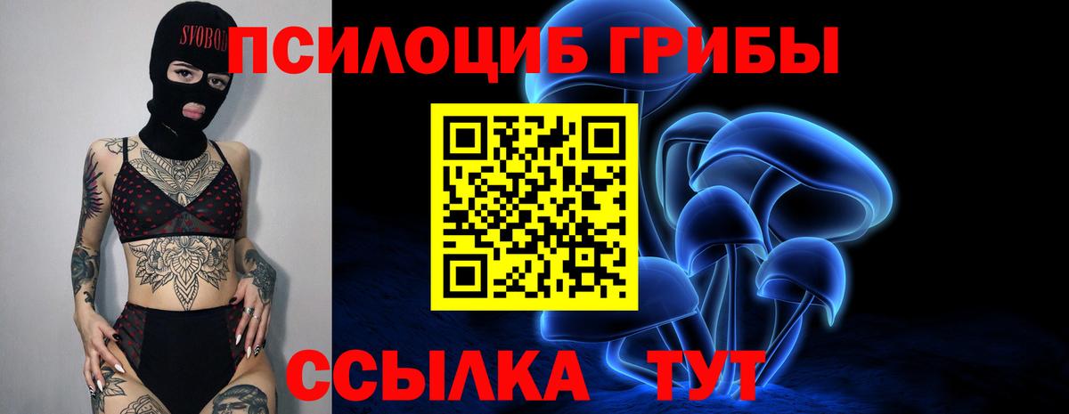 Псилоцибиновые грибы прущие грибы  Вход с VPN  Арзамас 