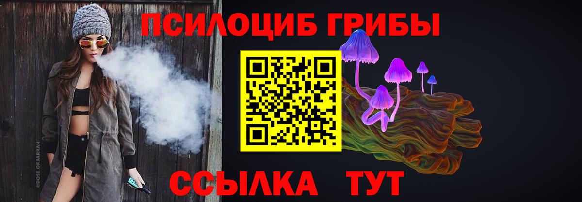 Псилоцибиновые грибы Psilocybine cubensis Арзамас